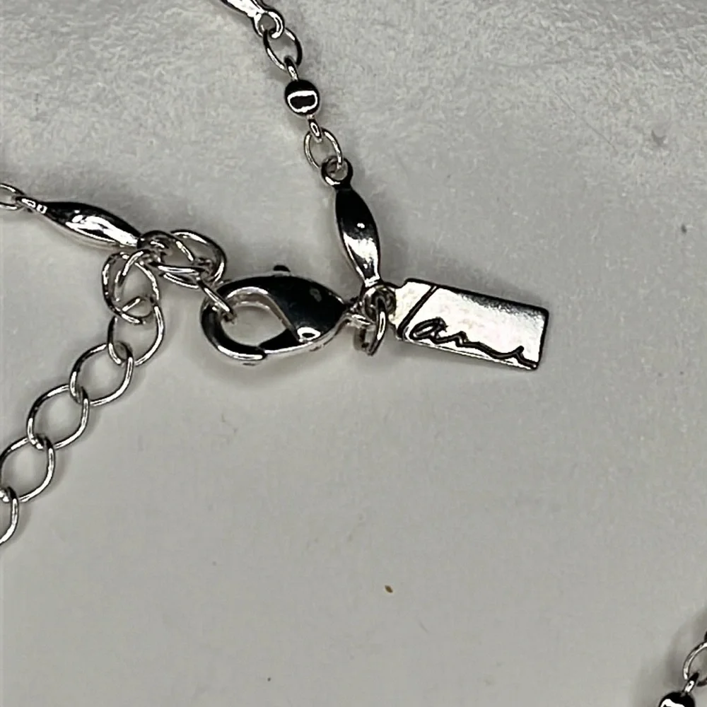 Lane Bryant long lightweight polished silver metal chain necklace